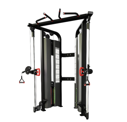 Nautilus Inspiration Dual Adjustable Pulley